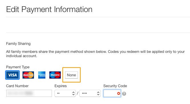 Apple ID payment information