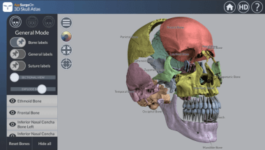 Anatomy Apps for iOS