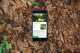 Best iPhone Apps for Identifying Plants
