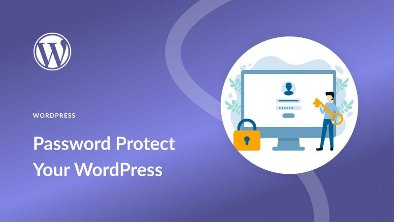 Best WordPress Password Protect Plugins